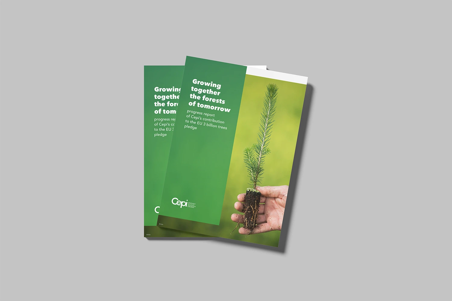 Brochure réalisée par Absolute agency