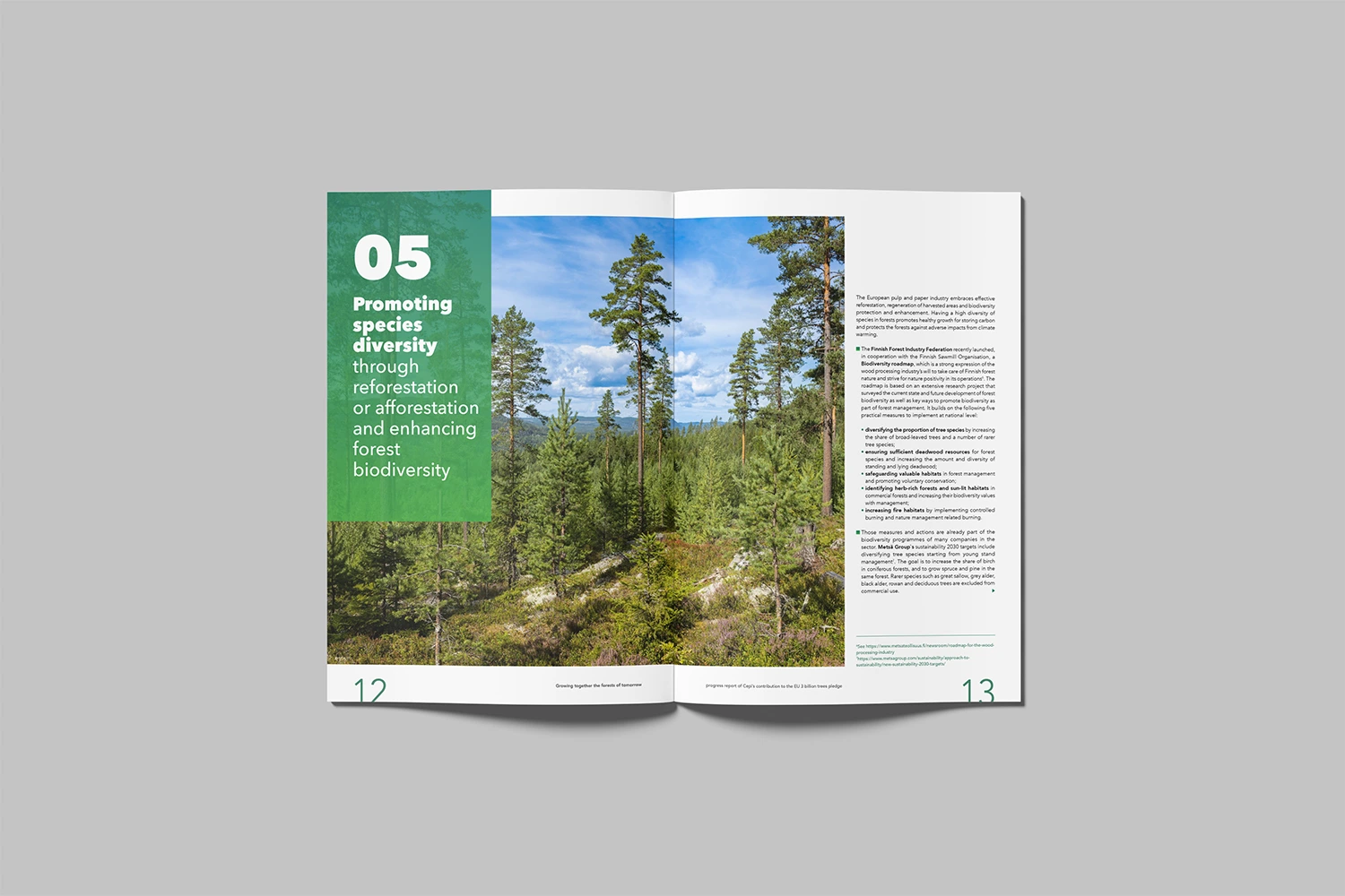 Brochure réalisée par Absolute agency