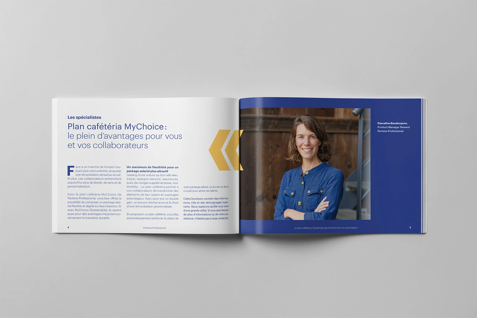 Brochure réalisée par Absolute agency