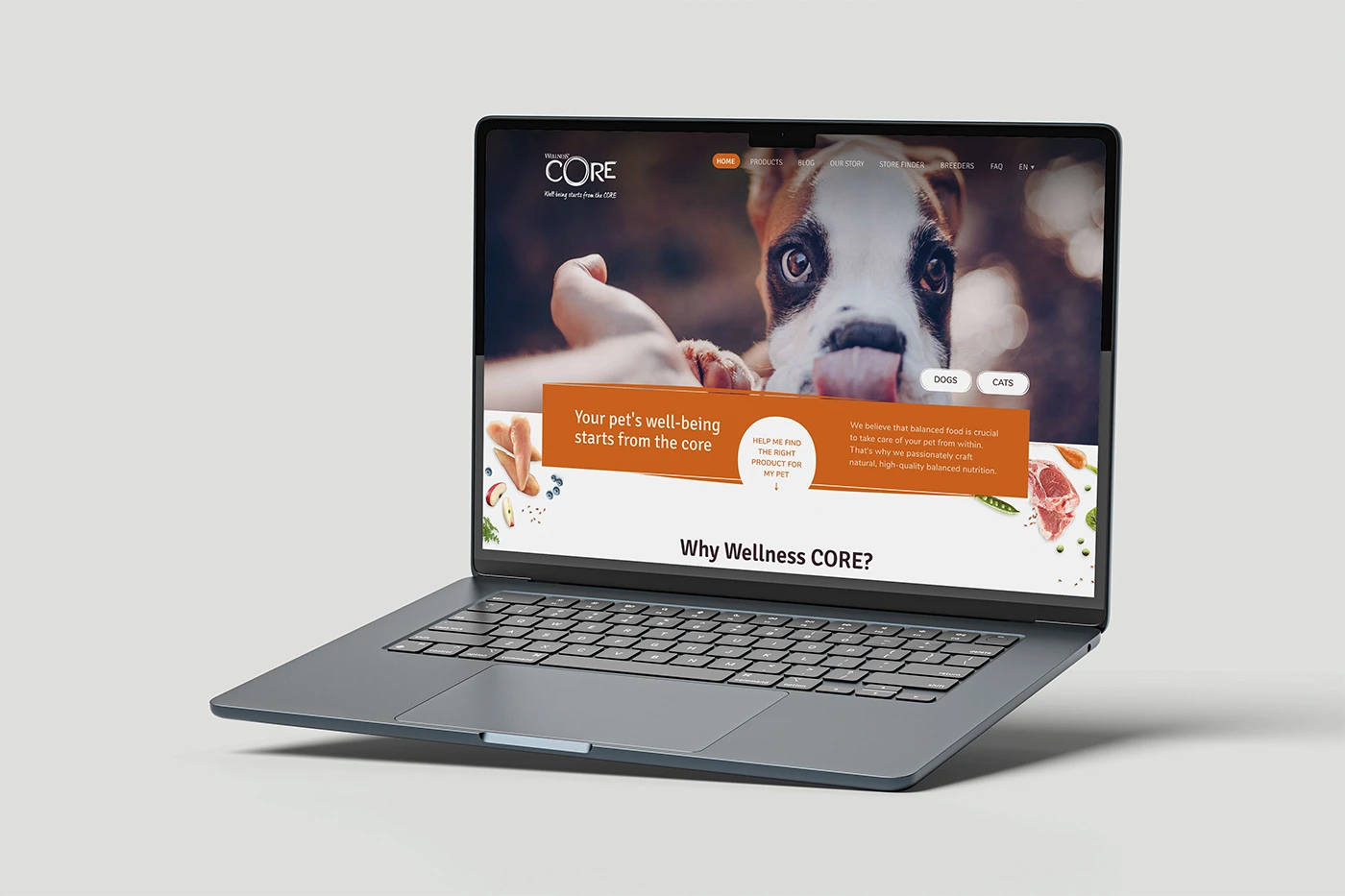 Site web Wellness CORE